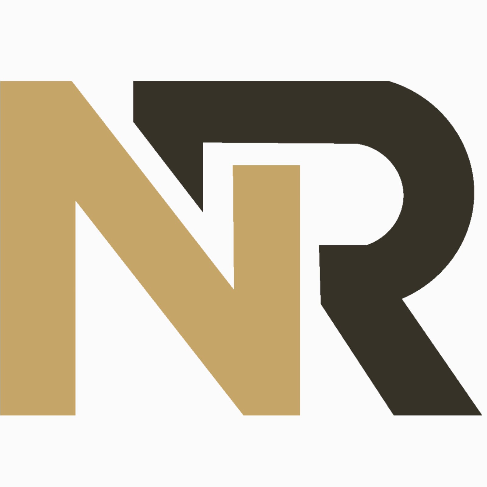 New Regal Computer Trading LLC